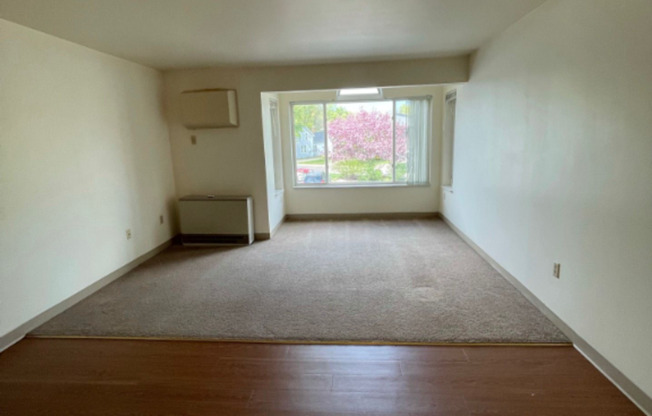 1 bed, 1 bath, 786 sqft, $1,100