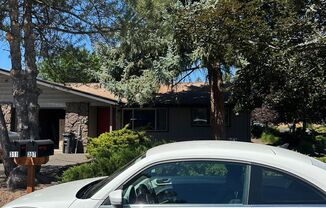 Wildcat Duplex - 00000-WILD-00