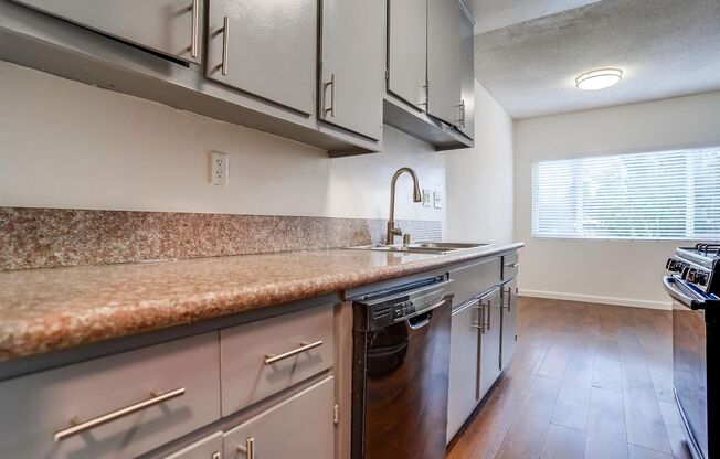 537 Hyde Park Blvd