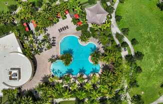 an overhead view of a swimming pool with palm trees