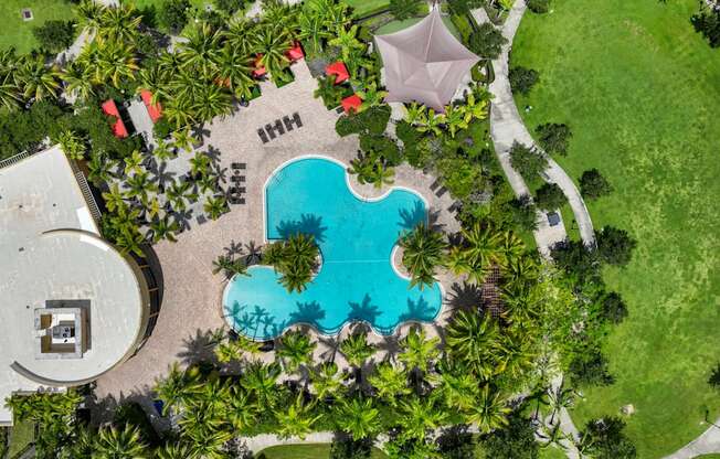 an overhead view of a swimming pool with palm trees