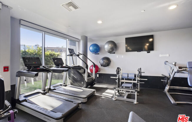 2 beds, 2 baths, 1,290 sqft, $3,700, Unit 439