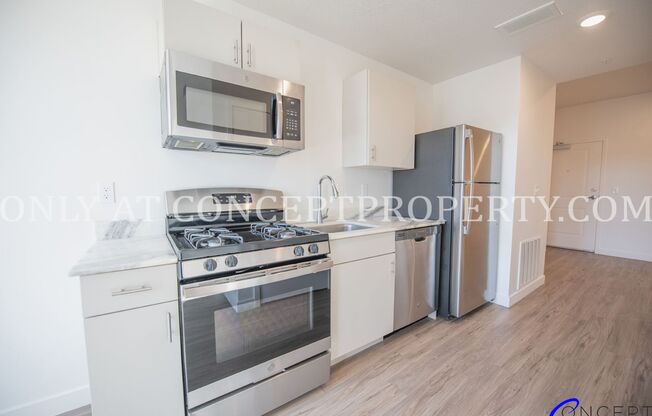 Studio, 1 bath, 400 sqft, $1,449, Unit 203