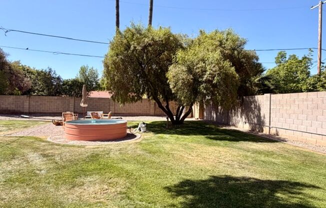 Updated Central Phoenix 3 bed, 2 bath with open layout, stainless steel appliances, and large irrigated backyard near Downtown and light rail.