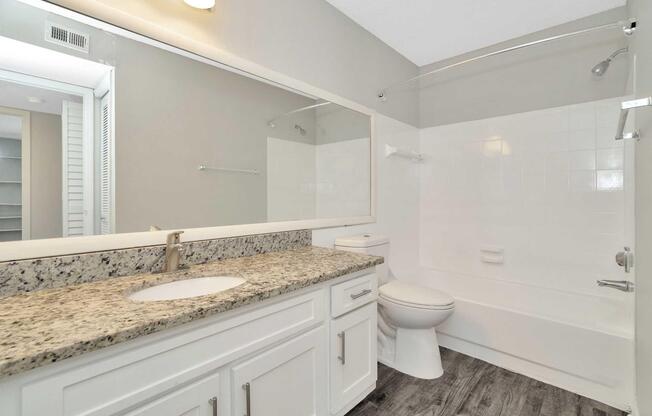 A modern bathroom featuring a white bathtub with a shower, a granite countertop vanity with a circular sink, a wall-mounted mirror, and light gray walls. The flooring is dark and wood-like, and there is a closet visible in the background.