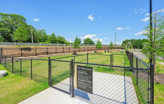 Dog Park