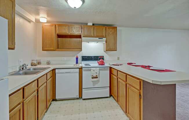 Ptarmigan Meadows Kitchen