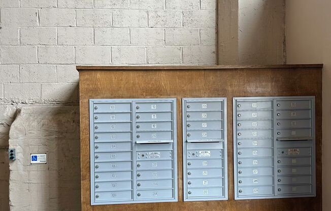 1 bed, 1 bath, $725, Unit Apt. 203 A - Female Co-Living SHARED APT