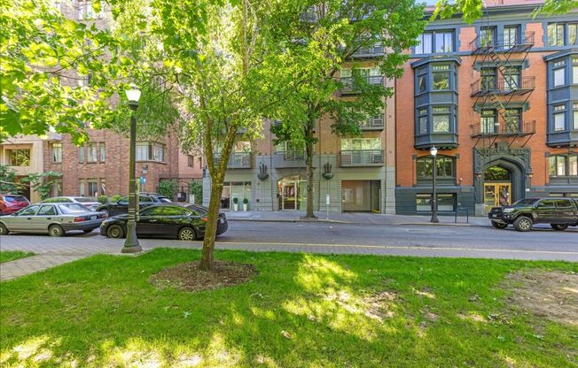 1 bed, 1 bath, 491 sqft, $1,250, Unit 501