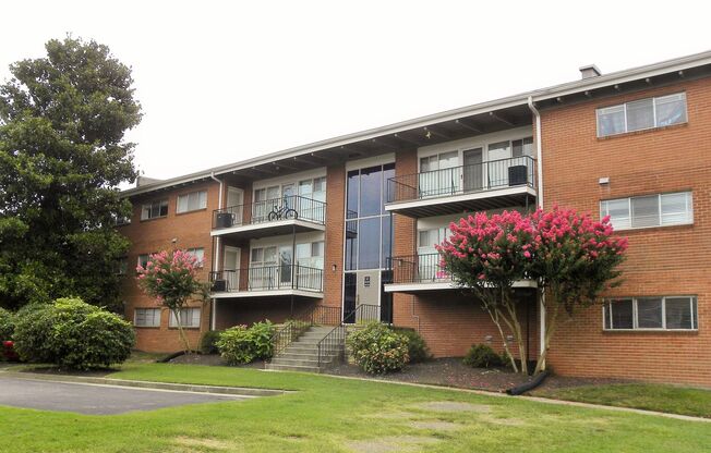 1 bed, 1 bath, 500 sqft, $999