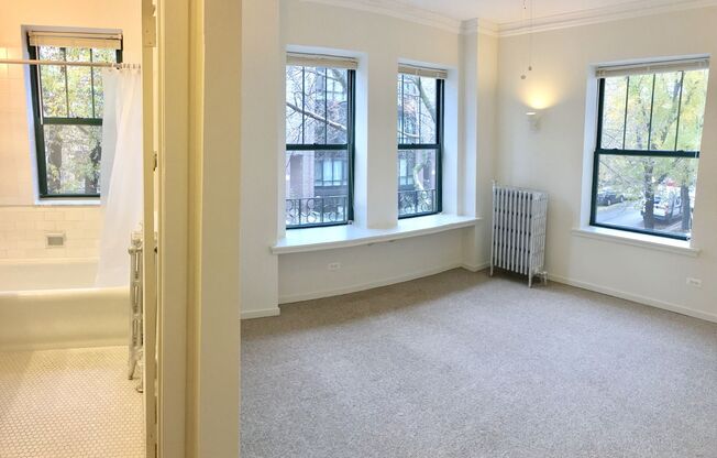 Studio, 1 bath, 233 sqft, $1,190, Unit 802