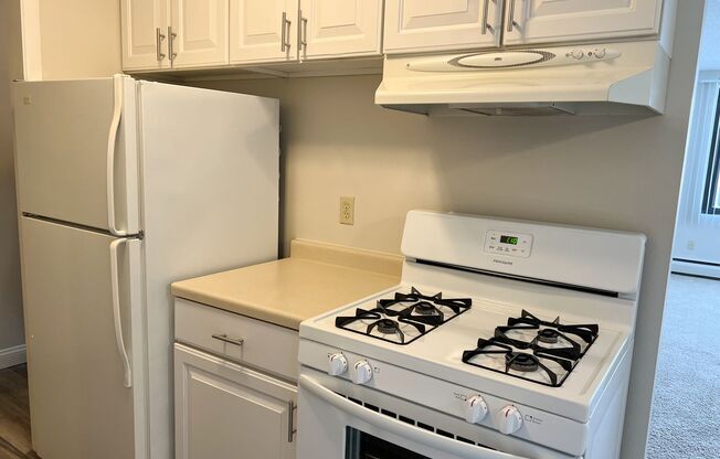 2 beds, 1 bath, 950 sqft, $1,425, Unit 3028303