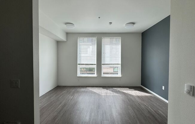 Studio, 1 bath, 317 sqft, $1,095, Unit 207