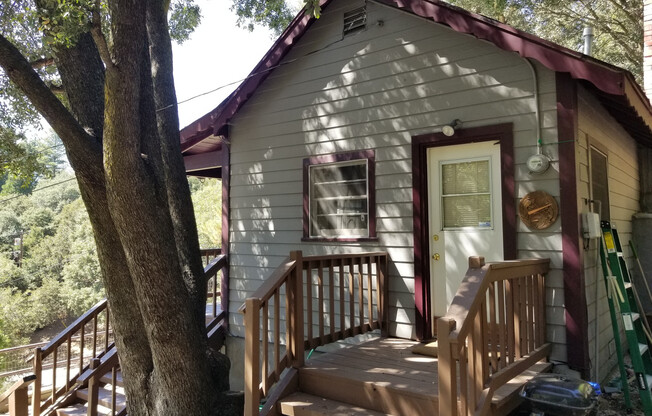 Mountain Cabin