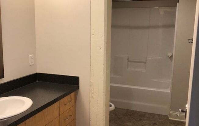 Studio, 1 bath, 442 sqft, $1,100, Unit 523