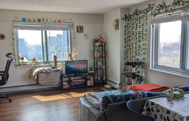 1 bed, 1 bath, 606 sqft, $3,450, Unit 1608