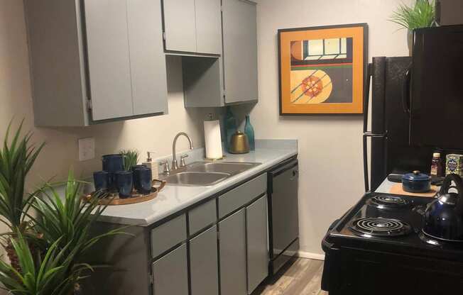 Updated Kitchen With Black Appliances at Elevation Apartments, Tucson