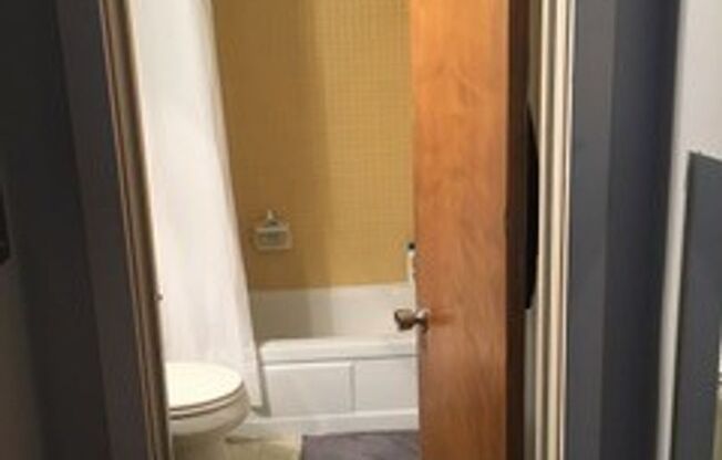 Studio, 1 bath, $1,750, Unit 15