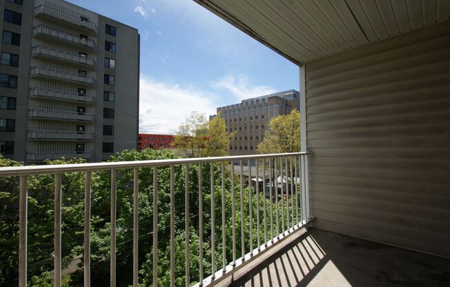 Studio, 1 bath, 413 sqft, $1,150, Unit 402