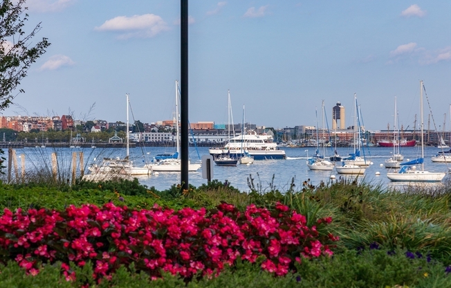 2 beds, 1 bath, 875 sqft, $3,500, Unit 20H