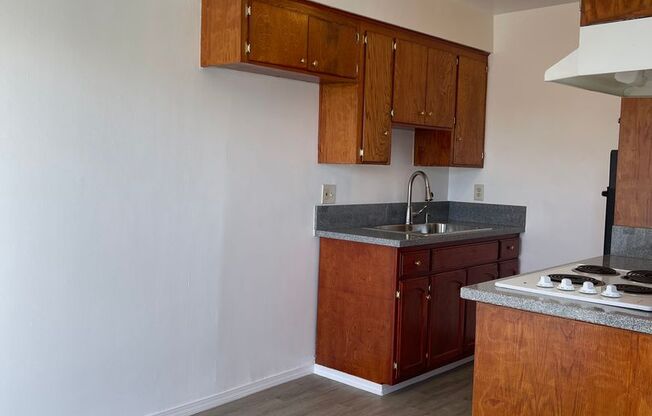 1 bed, 1 bath, 800 sqft, $1,595