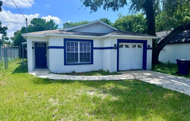 Stunning Tampa Home! Incredibly Renovated 3/2 AVAILABLE NOW