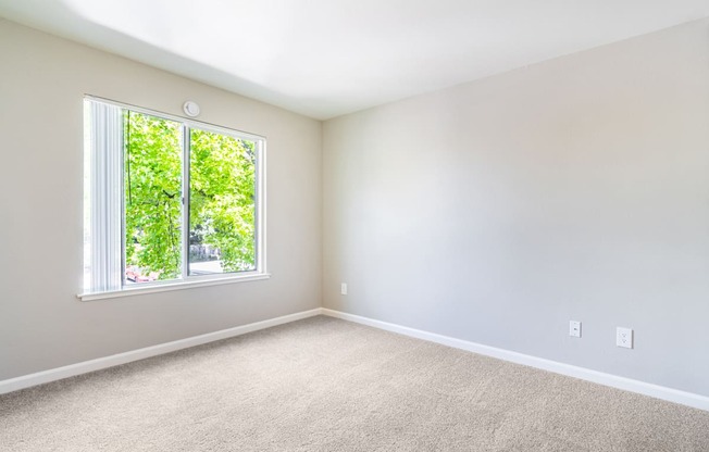 A room with a window and carpeted floor.