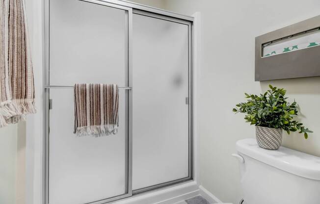 a bathroom with a shower and a toilet and a plant