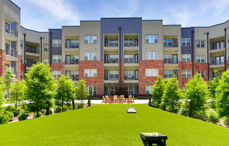 THE DUKE REC FIELD