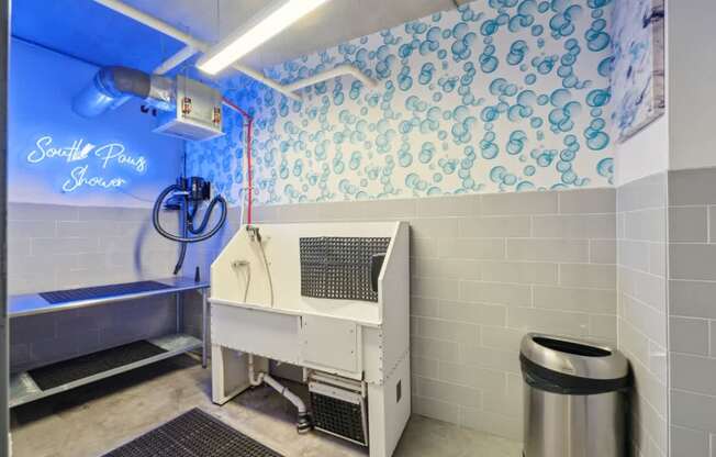 A cleaning machine is in a room with a wallpapered wall.