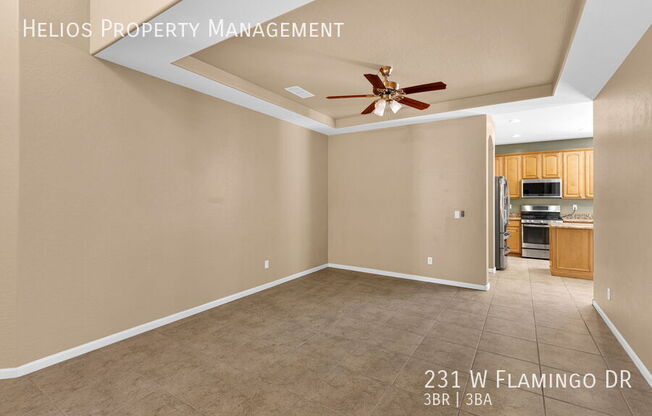 231 W FLAMINGO DR