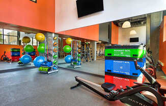 A gym with a variety of equipment including a rowing machine.