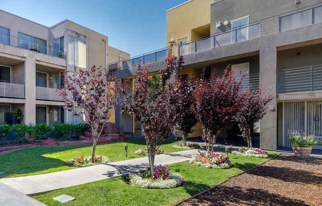 four trees in front of an apartment building