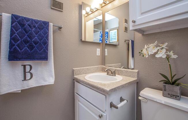 a white sink sitting under a mirror