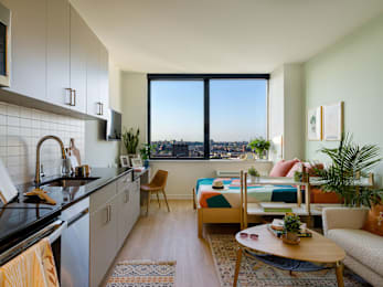 Studio, 1 bath, $3,166