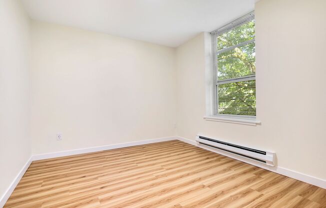 1 bed, 1 bath, 540 sqft, $1,415, Unit 1