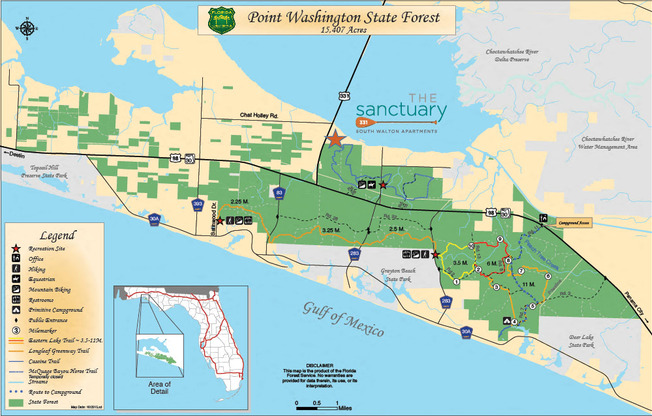 Sanctuary 331 Forest Map