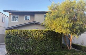 503 N Elena