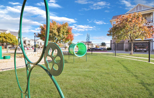 dog park with agility equipment