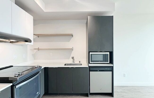 1 bed, 1 bath, 535 sqft, $1,775, Unit 203