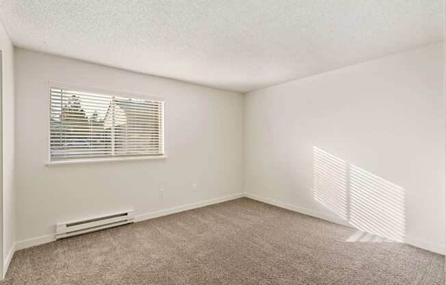 A large bedroom with white walls, taupe carpets, and a sunny window with white blinds.