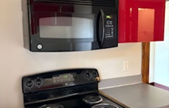 1 bed, 1 bath, 610 sqft, $1,295, Unit 11-1