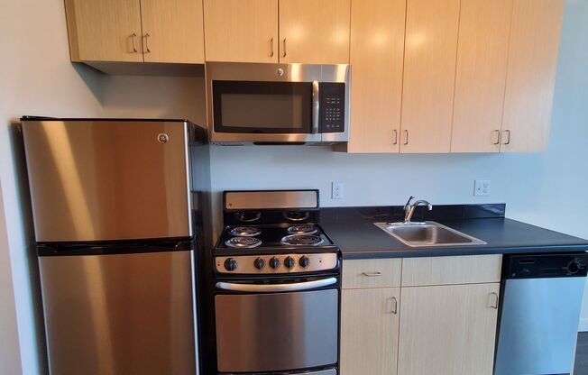 Studio, 1 bath, 248 sqft, $1,495, Unit 302