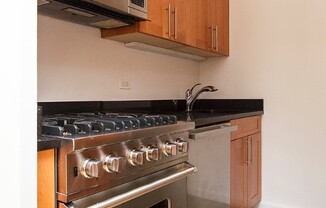 Studio, 1 bath, $3,500, Unit 16E