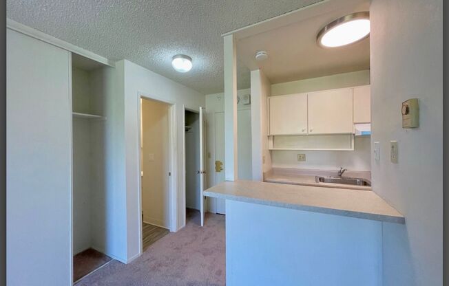 Studio, 1 bath, $1,995