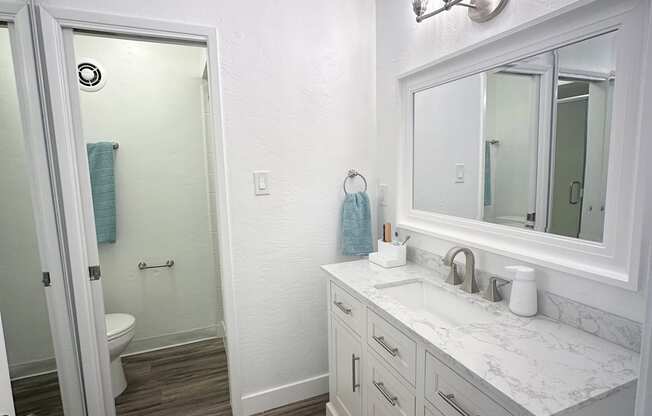 a bathroom with a sink and a mirror