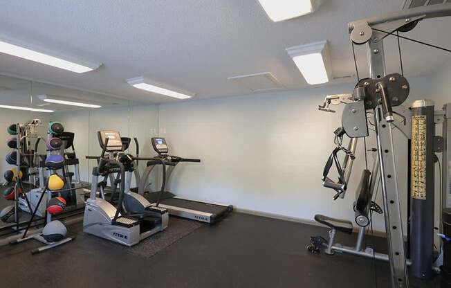 a gym with weights and cardio equipment in a home gym