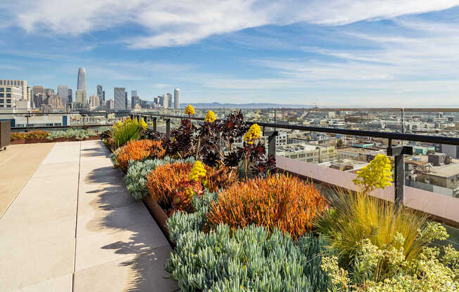 A cityscape is visible in the distance behind a row of colorful plants.
