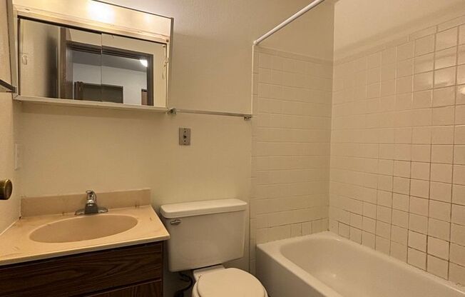 Studio, 1 bath, 360 sqft, $600, Unit 17