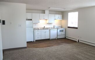 1 bed, 1 bath, 600 sqft, $1,100, Unit 106